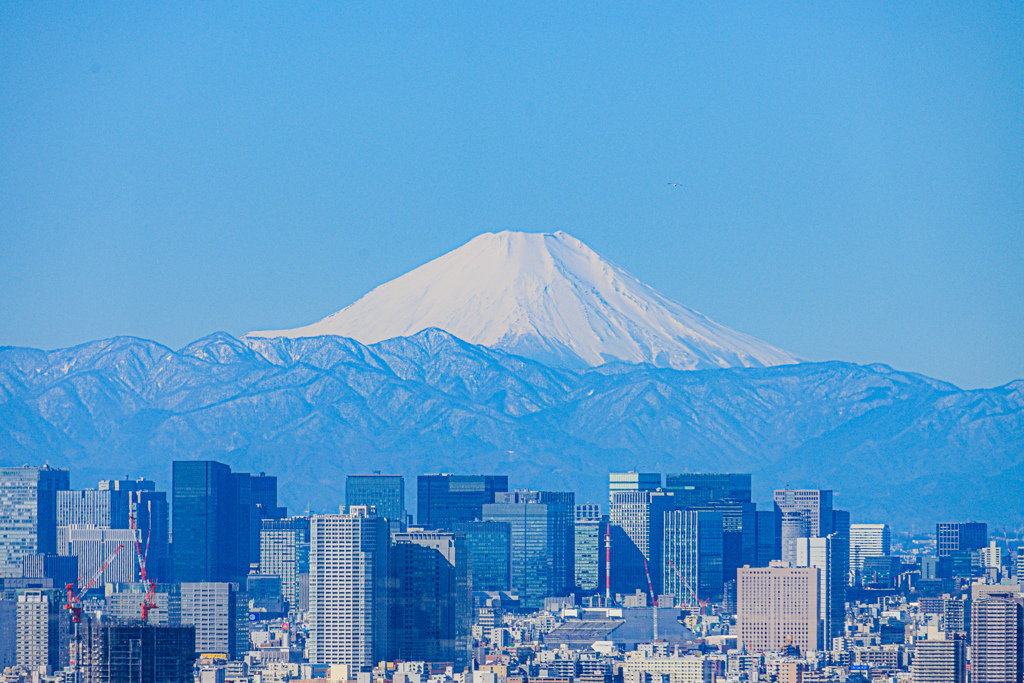 今日の朝富士