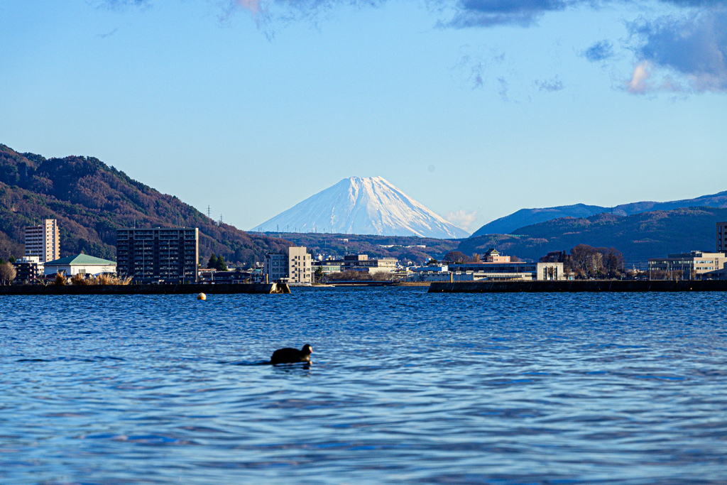 諏訪湖岸からの富士山