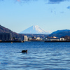 諏訪湖岸からの富士山