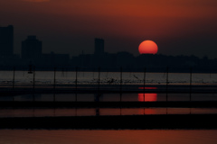 三番瀬の夕陽