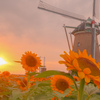 夕陽とひまわりと風車 ①