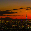 薄暮の都心夜景と富士山