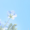blue in blue