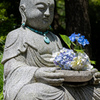 紫陽花を抱えたお地蔵さん