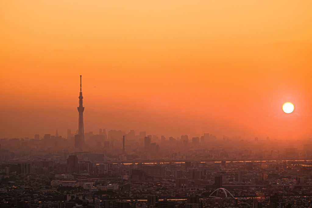 東京スカイツリーのシルエットと夕日