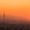 東京スカイツリーのシルエットと夕日