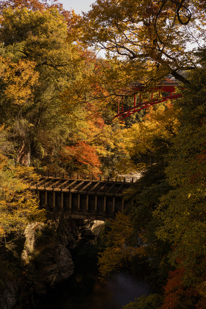 秋彩に架かる二つの橋