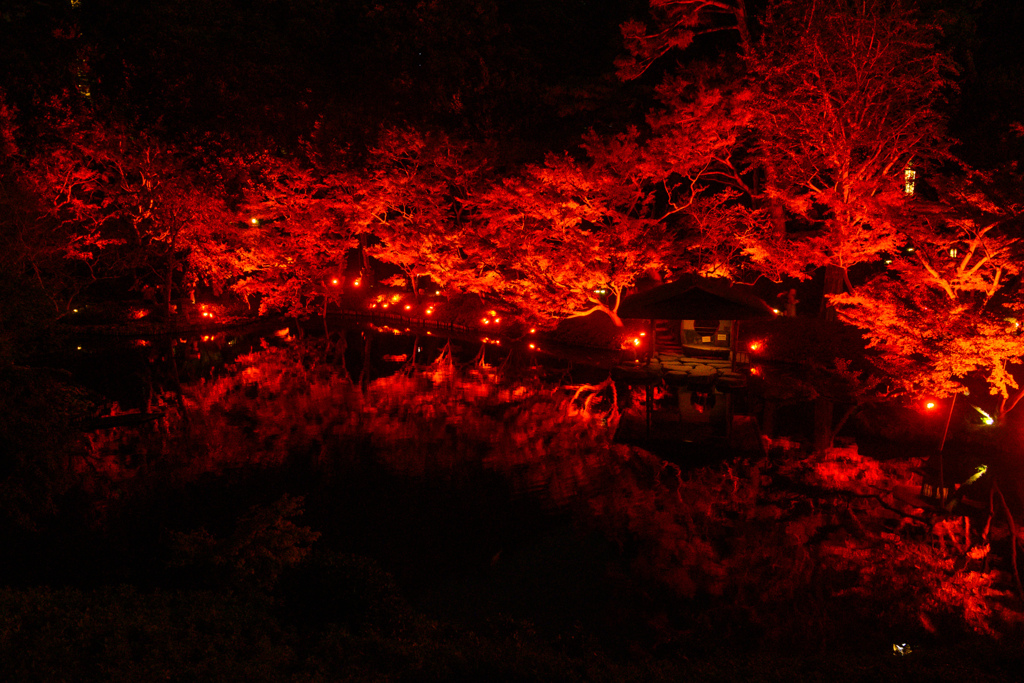 赤の世界へ誘う日本庭園 ♯1