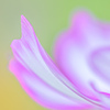 autumn pastel colors