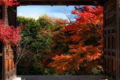 山門越しの紅葉