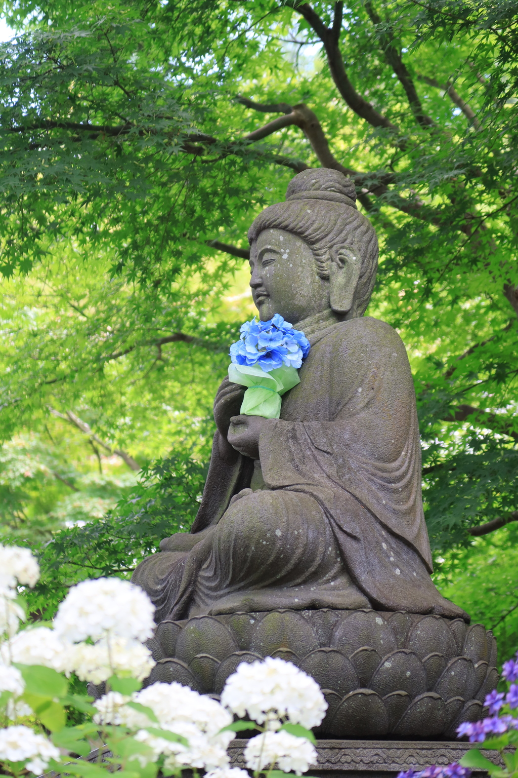 紫陽花と仏様