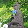 紫陽花と仏様
