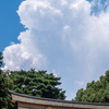 鳥居と夏の雲