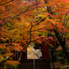 錦秋に染まる～本土寺