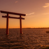 水上鳥居の夕景