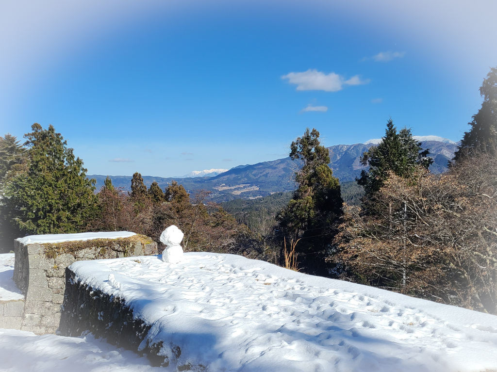 ひっそり佇む雪だるま