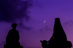月夜の旅路