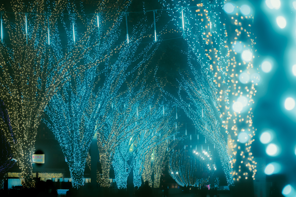 イルミネーションロード