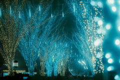 イルミネーションロード