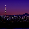 東京夜景 スカイツリーとシルエット富士