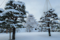 雪を纏った鶴ヶ城
