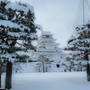 雪を纏った鶴ヶ城
