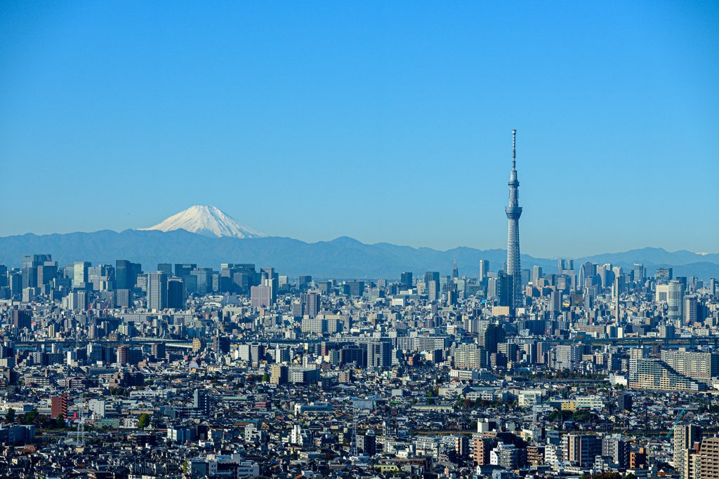雪化粧の富士山と東京スカイツリー