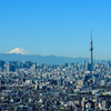 雪化粧の富士山と東京スカイツリー