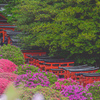 春模様の千本鳥居