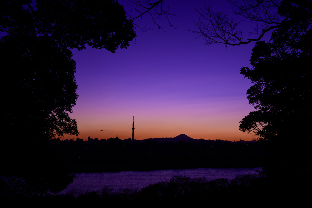 夕暮れのシルエット