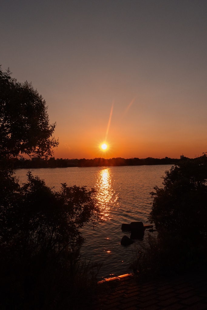 江戸川からの夕日
