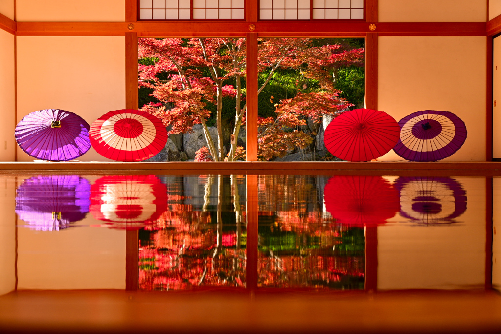 紅葉と和傘のリフレクション