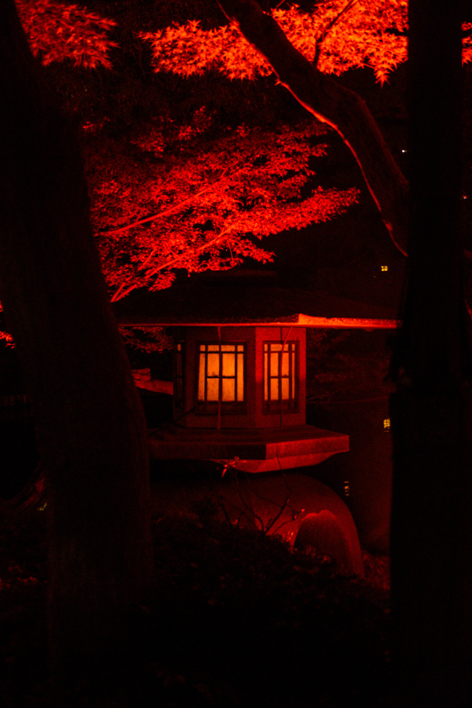 赤の世界へ誘う日本庭園 ♯2