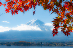 晩秋の富士