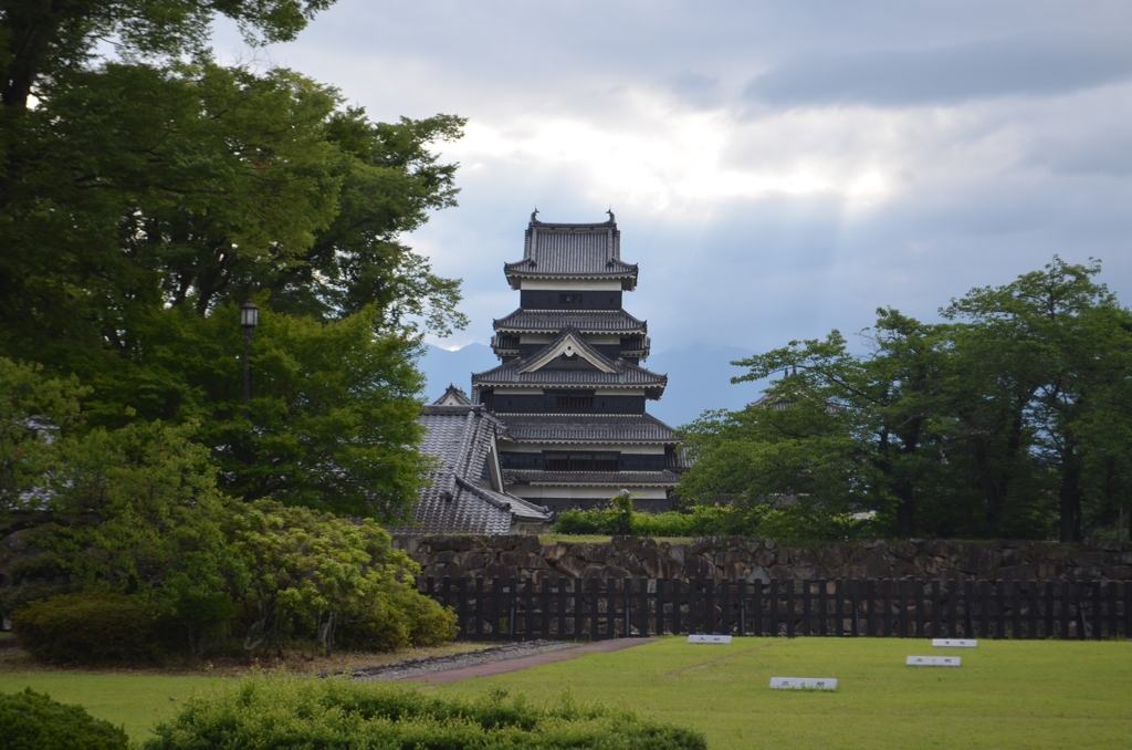 青紅葉と黒