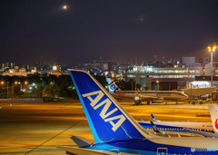 【350dpi・A3Y+6mm】ANAと着陸の状況