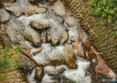 【350dpi・A3Y+6mm】川の流れ