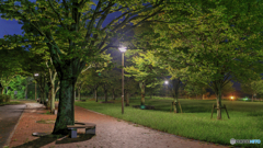 【HDR・4K】私は公園の街灯