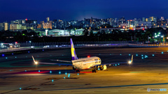 【HDR・4K】お休み飛行機