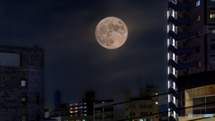 【HDR・4K】中秋の名月2022