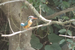 君はいくつだい?