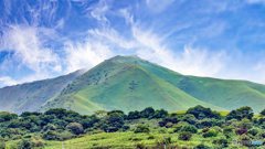 【HDR・4K】猫が岩山
