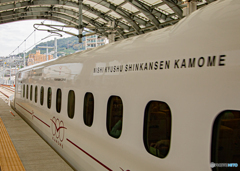 【350dpi・A4Y+6mm】かもめが上る