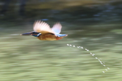 キラキラ〜ン♩ キラキラ〜ン♩