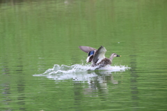 R6_2がやってきた①