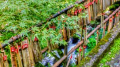 【HDR・4K】九酔渓〜願いが叶いますように