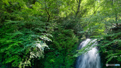 【HDR・4K】九酔渓の滝