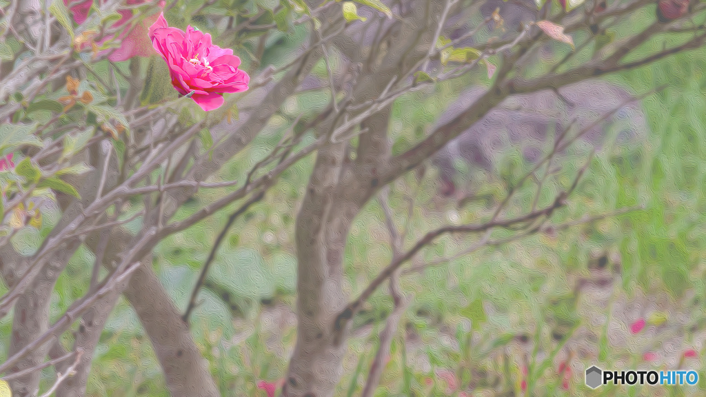 【イラスト風・4K】一輪の椿