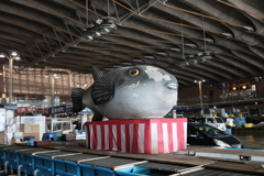 【山口県】ふぐ(大)