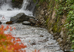 【350dpi・A3Y+6mm】渦巻く滝